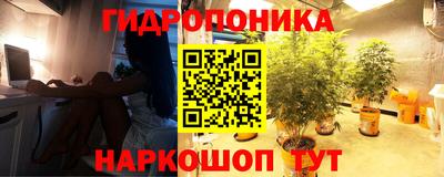 каннабис Гатчина
